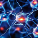 Párkinson: nuevas pistas sobre la conexión mente-movimiento